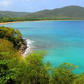 Visite guidée du Parc des Mamelles en Guadeloupe