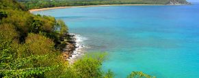 Visite guidée du Parc des Mamelles en Guadeloupe