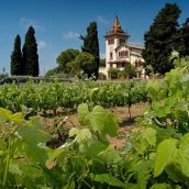 À la découverte des meilleures régions viticoles d’Espagne