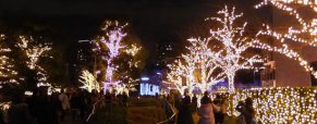 Séjour au Japon, le déroulement des fêtes de fin d’année