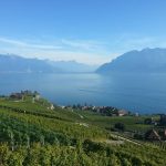 vignoble-de-lavaux