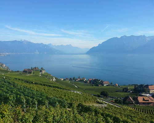 vignoble-de-lavaux