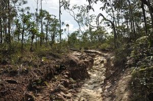 bako-national-park-borneo