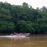 kinabatangan-borneo