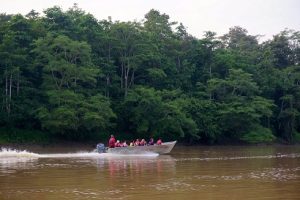 kinabatangan-borneo