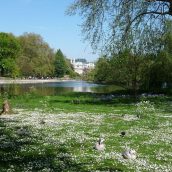 Explorer Londres et ses plus beaux jardins botaniques