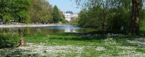 Explorer Londres et ses plus beaux jardins botaniques