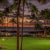 Vacances à Hawaï : top 3 des activités à faire pendant votre séjour