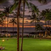 Vacances à Hawaï : top 3 des activités à faire pendant votre séjour