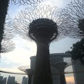 Les incontournables de Singapour