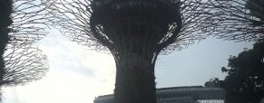 Les incontournables de Singapour