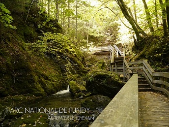 Parc national de Fundy