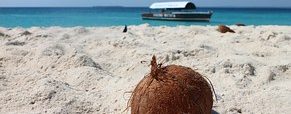 Sur quels critères choisir son vol Paris-Zanzibar ?