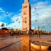 Des astuces pour profiter pleinement d’un séjour à Marrakech