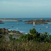 Quelques activités à faire sur les îles Chausey