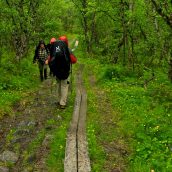 Aventure en Suède : 3 parcs nationaux à explorer en randonnée