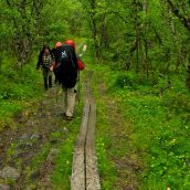 Aventure en Suède : 3 parcs nationaux à explorer en randonnée