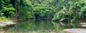 Voyager au Costa Rica en visitant 3 parcs nationaux incontournables