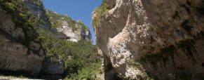 Réussir ses vacances dans le PARC DES GRANDS CAUSSES