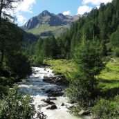 Partir en Italie pour découvrir 2 superbes parcs nationaux