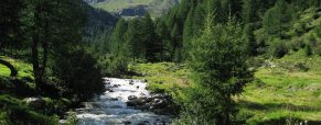 Partir en Italie pour découvrir 2 superbes parcs nationaux