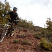 Randonnée en VTT à travers les Alpes du Sud : les bonnes raisons de s’y adonner
