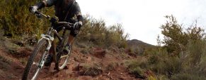 Randonnée en VTT à travers les Alpes du Sud : les bonnes raisons de s’y adonner