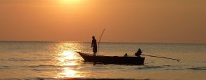 Offrez-vous un voyage de passionné de pêche !