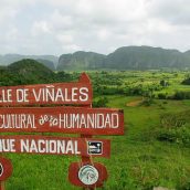 Voyage à Cuba : à la découverte des attraits de la vallée de Viñales