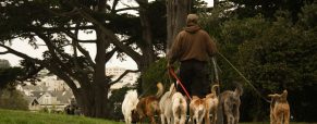 Comment faire garder son animal de compagnie pendant les périodes de vacances ?