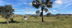 2 idées de circuits à réaliser au cours d’un séjour à Madagascar