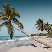 Les Caraïbes façon tricolore : lumières sur les Antilles Françaises