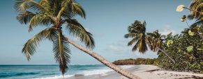 Les Caraïbes façon tricolore : lumières sur les Antilles Françaises