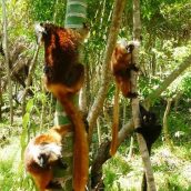 Séjour à Nosy Be : 2 endroits à ne pas manquer