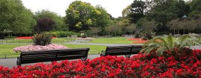 Partir en Irlande au printemps en séjournant à Dublin