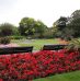 Partir en Irlande au printemps en séjournant à Dublin