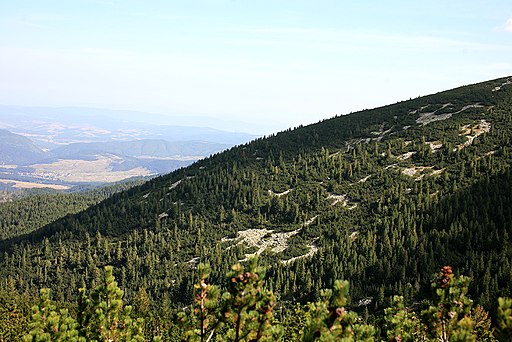 Rila National Park, Bulgarie