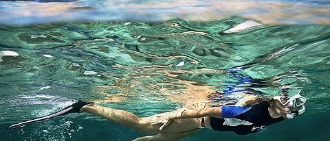 La Bretagne, destination idéale pour les activités subaquatiques !