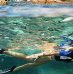 La Bretagne, destination idéale pour les activités subaquatiques !