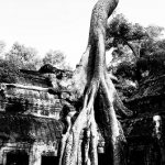 Angkor, Cambodge