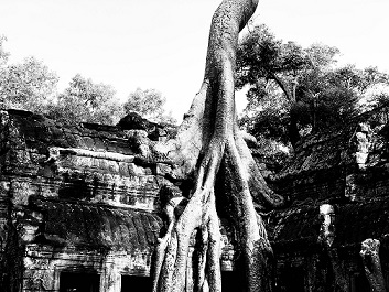 Angkor, Cambodge