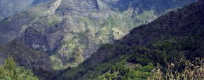Voyage à la Réunion : les spots de randonnée à ne pas rater