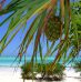 2 destinations à découvrir dans l’océan Indien