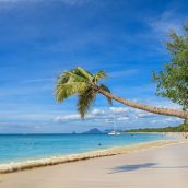 Séjour dans les Caraïbes, pourquoi pas la Martinique ?