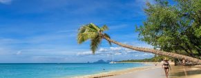 Séjour dans les Caraïbes, pourquoi pas la Martinique ?