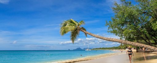 Séjour dans les Caraïbes, pourquoi pas la Martinique ?