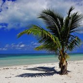 Top 3 des destinations de voyage à envisager dans les Caraïbes