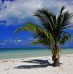 Top 3 des destinations de voyage à envisager dans les Caraïbes