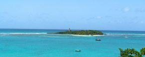 Séjour au soleil et en pleine nature : pourquoi opter pour la Guadeloupe ?