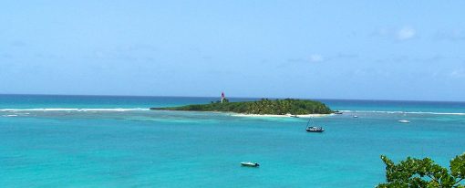 Séjour au soleil et en pleine nature : pourquoi opter pour la Guadeloupe ?